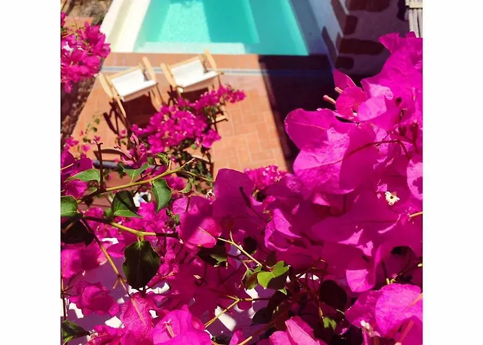 Patmos Eye Boutique & Hotel Skala